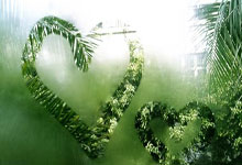 88直播:崔永熙的籃球歲月:十年如一日無怨無悔.