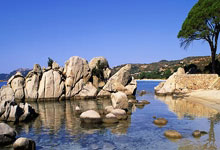 亚冠拿分不易,上海双雄全力以赴.